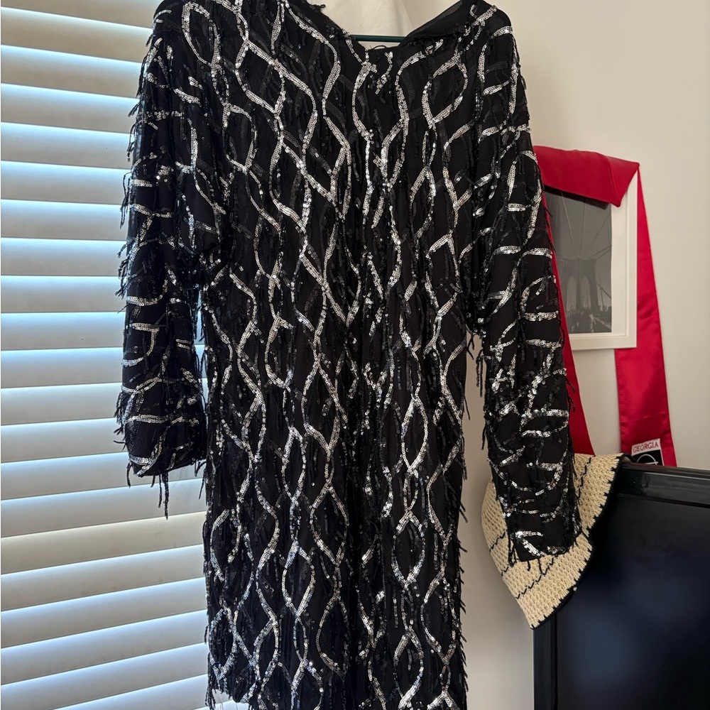 Zara Black and Silver Sequin Dress